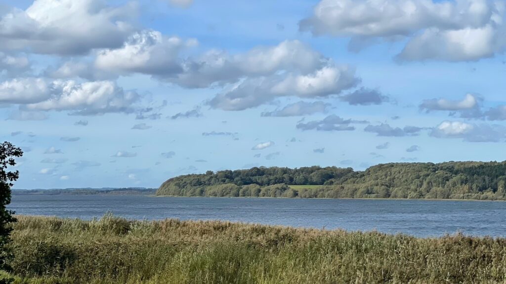 Naturen omkring Mossø: En fantastisk Gravelbike-oplevelse